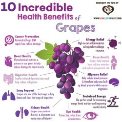 VitaRes - Resveratrol Liquid Blend Pure Super Bioavailable Food Grade Grape Skin and Seed  Anti-Inflammatory Blood Flow Nitric Oxide Booster (FINAL SALE) - Image 3